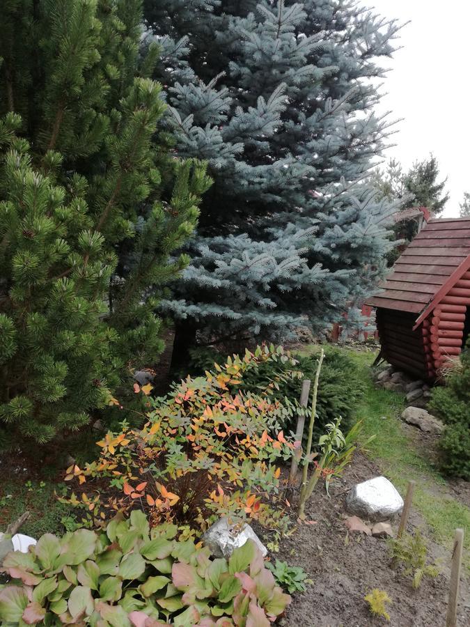 Guest House Uyutnyy Brześć Zewnętrze zdjęcie